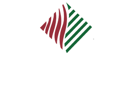 Armstrong Chiropractic Logo